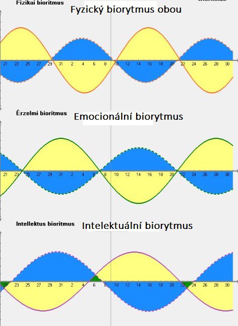 biorytmus-nas-dvou.jpg