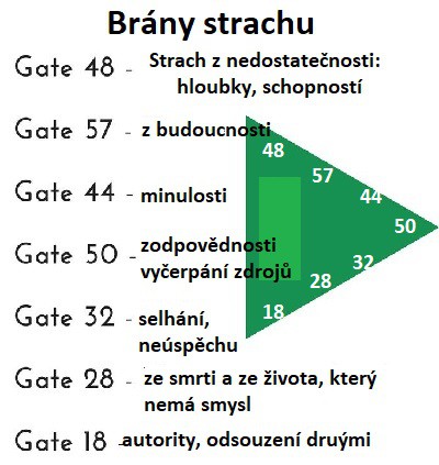 slezina-a-brany-strachu.jpg